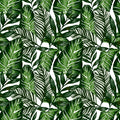 Lenco selvklæbende folie - House Plants - 45x200 cm.