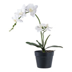 Orkidé - Kunstig plante, grøn/hivd H:49 cm