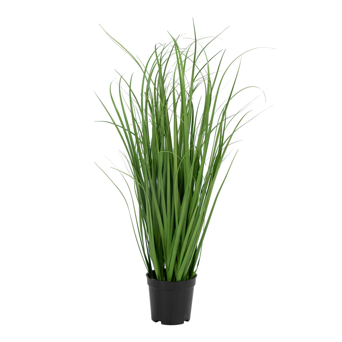 Poa Græs - Kunstig poa græs, grøn H:68 cm