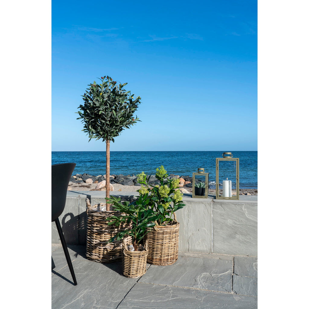 Figentræ - Kunstig plante, grøn H:60 cm
