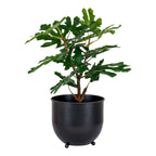 Figentræ - Kunstig plante, grøn H:60 cm