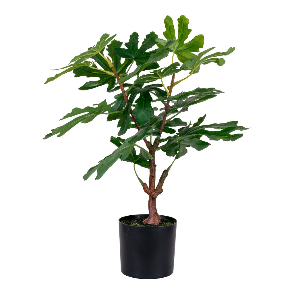 Figentræ - Kunstig plante, grøn H:60 cm