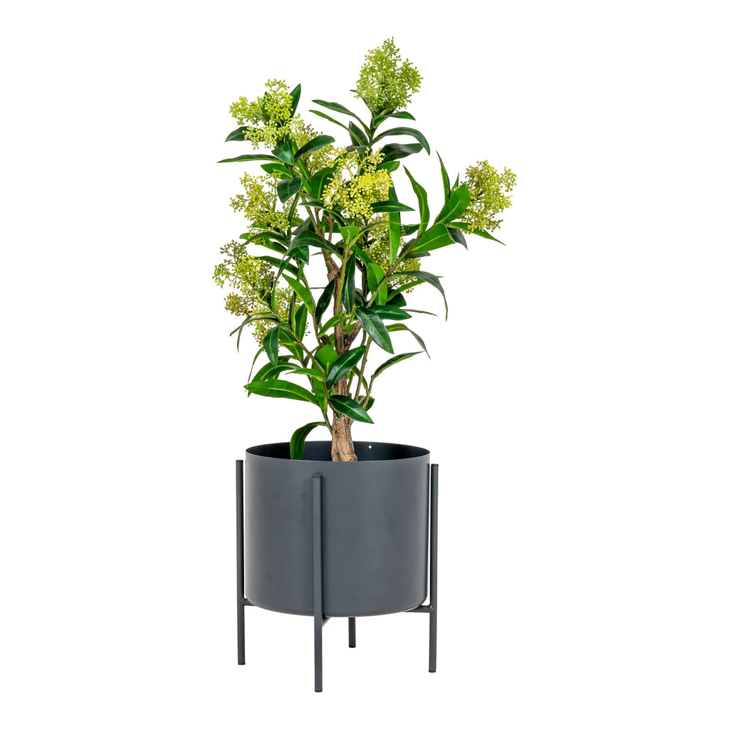 Skimmia Træ - Kunstig plante, grøn H:75 cm