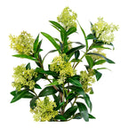 Skimmia Træ - Kunstig plante, grøn H:75 cm