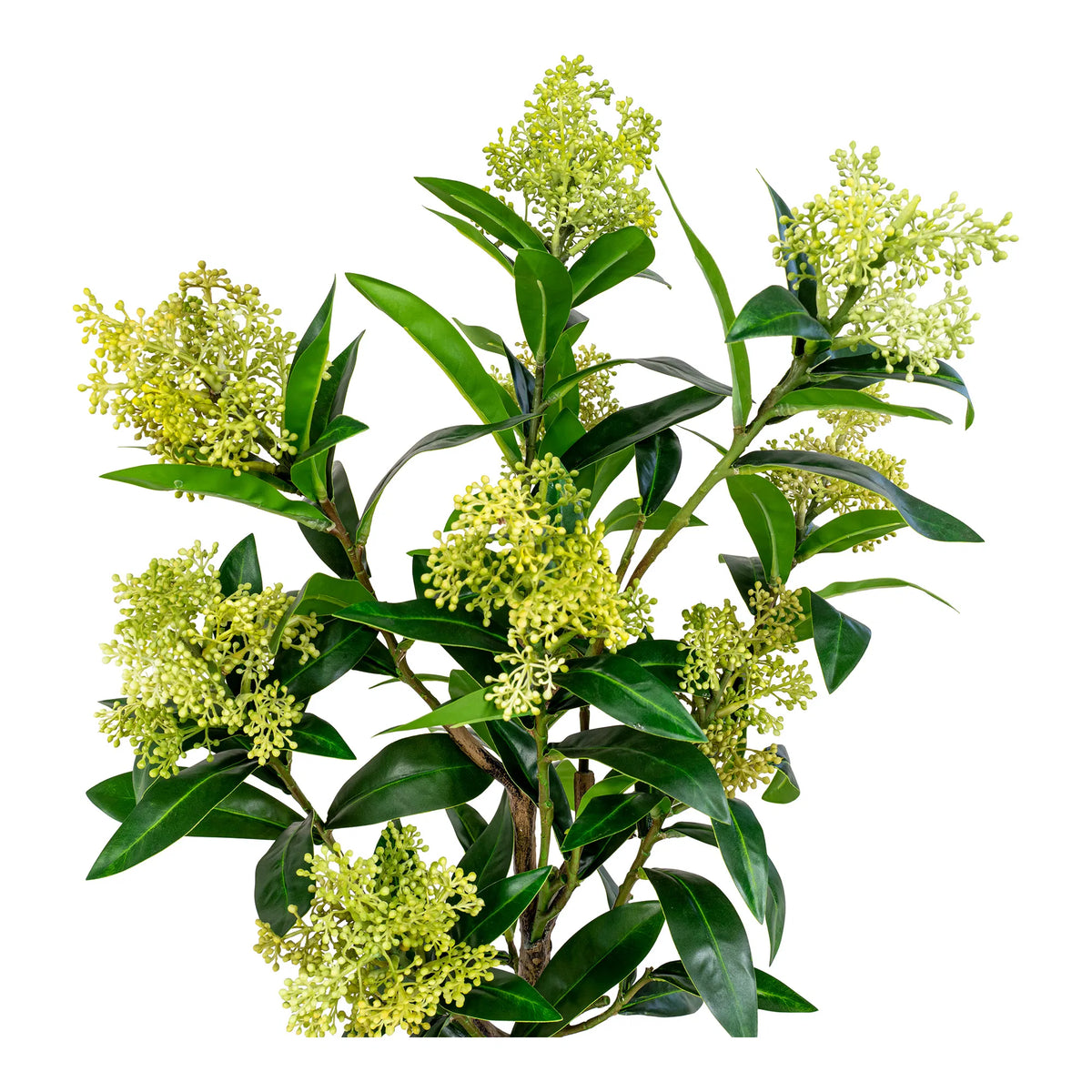 Skimmia Træ - Kunstig plante, grøn H:75 cm