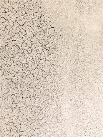 Vintage Paint Crackle Effect - 200 ml
