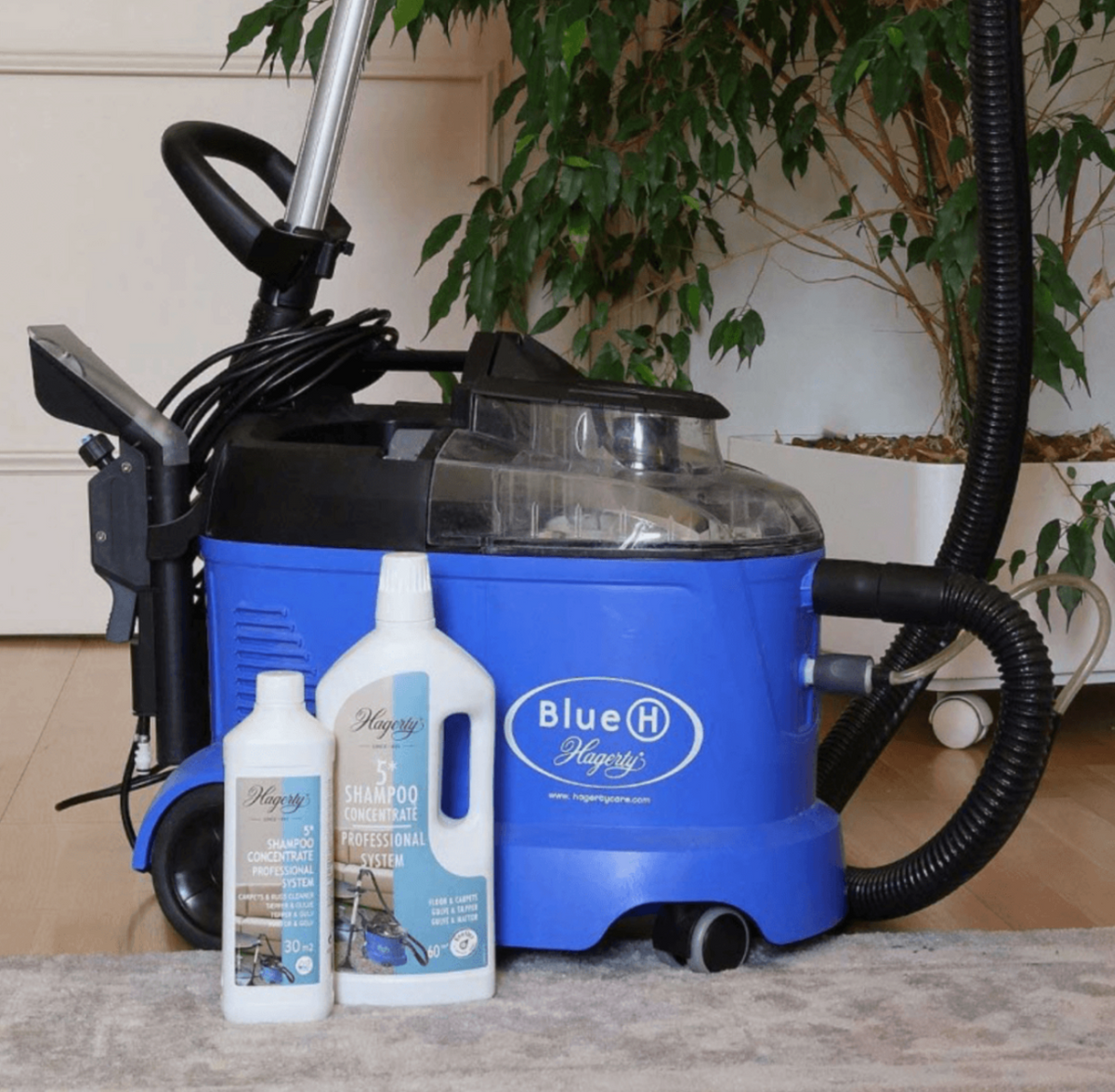 Hagerty 5* Shampoo Concentrate - 500 ml.